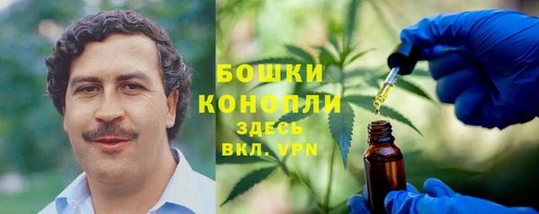spice Алексин
