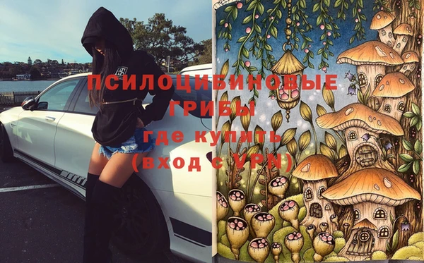 дмт Алексеевка