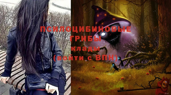 spice Алексин