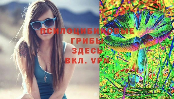 дмт Алексеевка