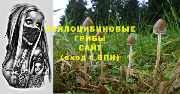 дмт Алексеевка